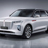 Charging cable Hongqi E-HS9