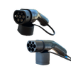 Type 2 plugs